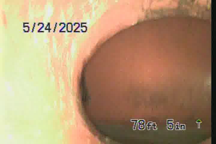 Frame